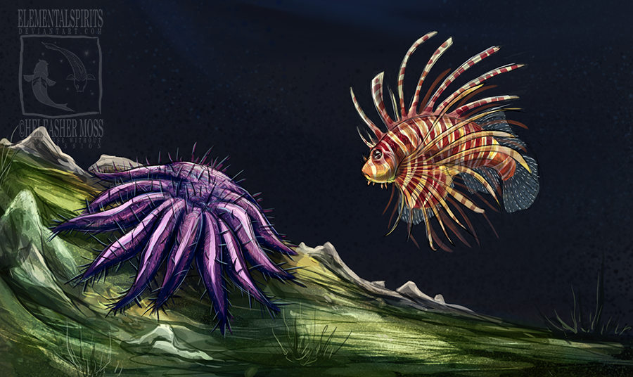 2018 acanthasterid ambiguous_gender crown-of-thorns_starfish digital_drawing_(artwork) digital_media_(artwork) duo echinoderm elementalspirits feral fin fish frill frown full-length_portrait gills grey_eyes horizontal_pupils kelp lighting lionfish marine multicolored_body ocean_floor orange_body orange_stripes portrait purple_body purple_tentacles red_body red_stripes rock shadow spiked_tentacles spikes spines starfish striped_body stripes sunlight suspended_in_midair swimming tail_fin tentacles underwater water watermark white_body white_stripes