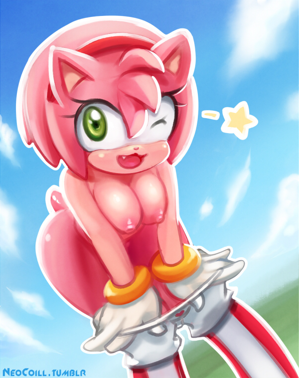 amy_rose breasts clothing female neocoill panties sega solo sonic_(series) underwear