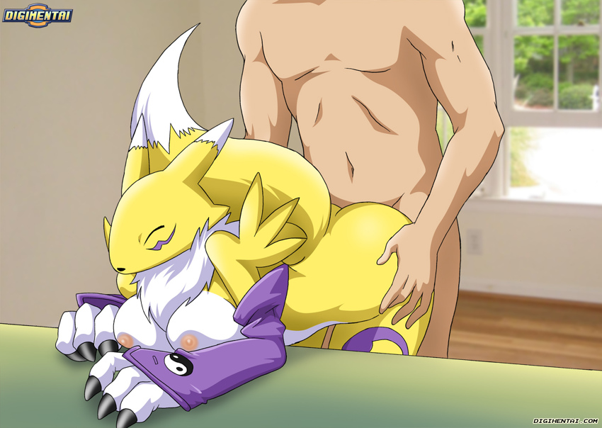 bent_over breasts digihentai digimon eyes_closed faceless_male female from_behind human interspecies male mammal nude palcomix renamon sex straight table unknown_artist
