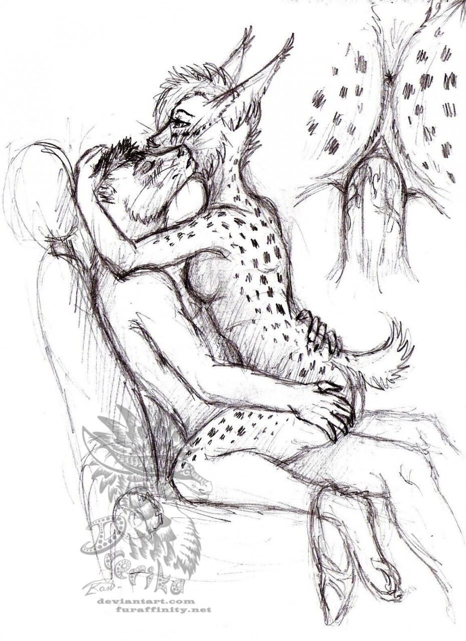 drerika erection feline female ferret lynx male mammal mustelid penis pussy sex tagme