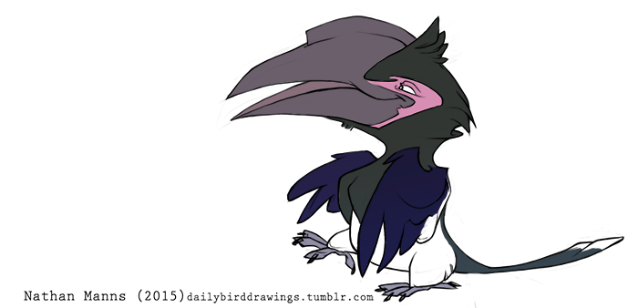 2015 4_toes anisodactyl avian beak big_beak biped bird black_claws black_eyes black_feathers black_tail blue_feathers blue_wings chest_tuft claws digital_drawing_(artwork) digital_media_(artwork) feather_tuft feathered_wings feathers female feral full-length_portrait grey_beak half-closed_eyes happy hornbill jamminbison multicolored_feathers on_one_leg open_beak open_mouth open_smile pink_skin portrait raised_leg semi-anthro side_view simple_background smile solo standing tail_feathers talons toe_claws toes toony trumpeter_hornbill tuft two_tone_tail url white_background white_feathers white_tail winged_arms wings