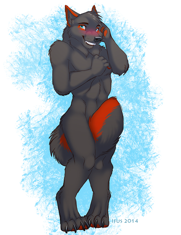2014 abs alex_nighthound anthro black_fur blue_eyes blush canine claws fur ifus looking_at_viewer male mammal muscles nude red_fur shy smile solo standing wolf