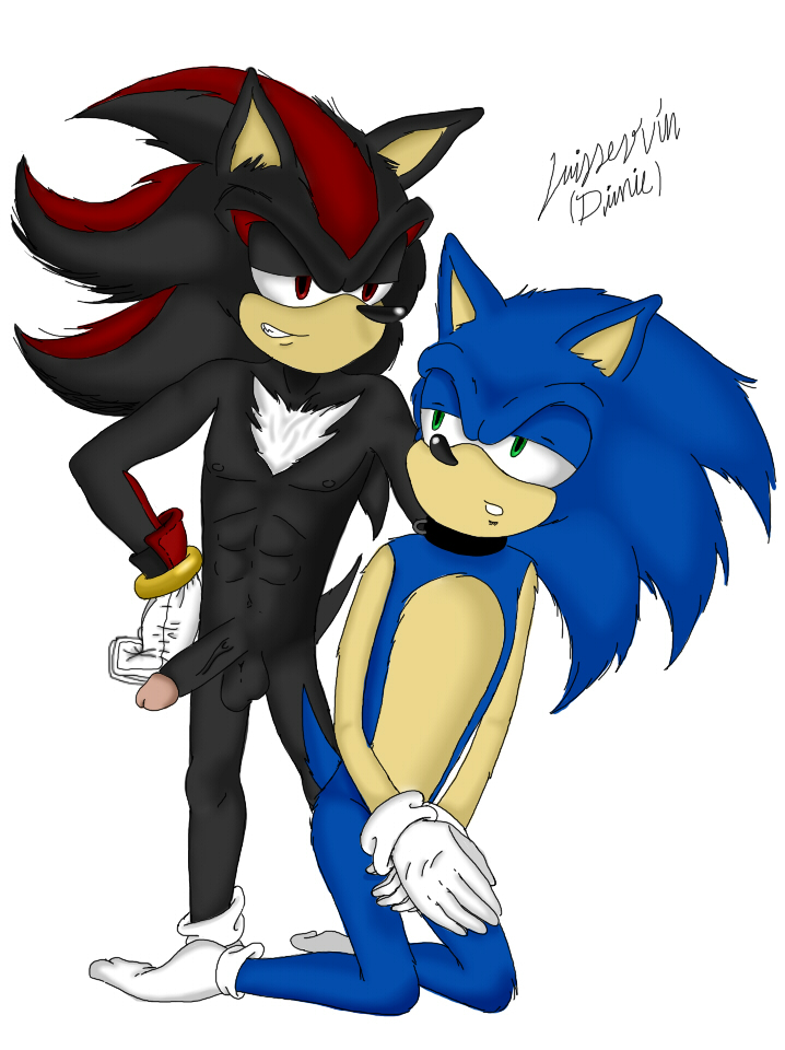 character cool gay gloves great invalid_color invalid_tag luiss64.exe male penis sega shadowthehedgehog sonic_(series) sonic_the_hedgehog sonicthehedgehog video_games