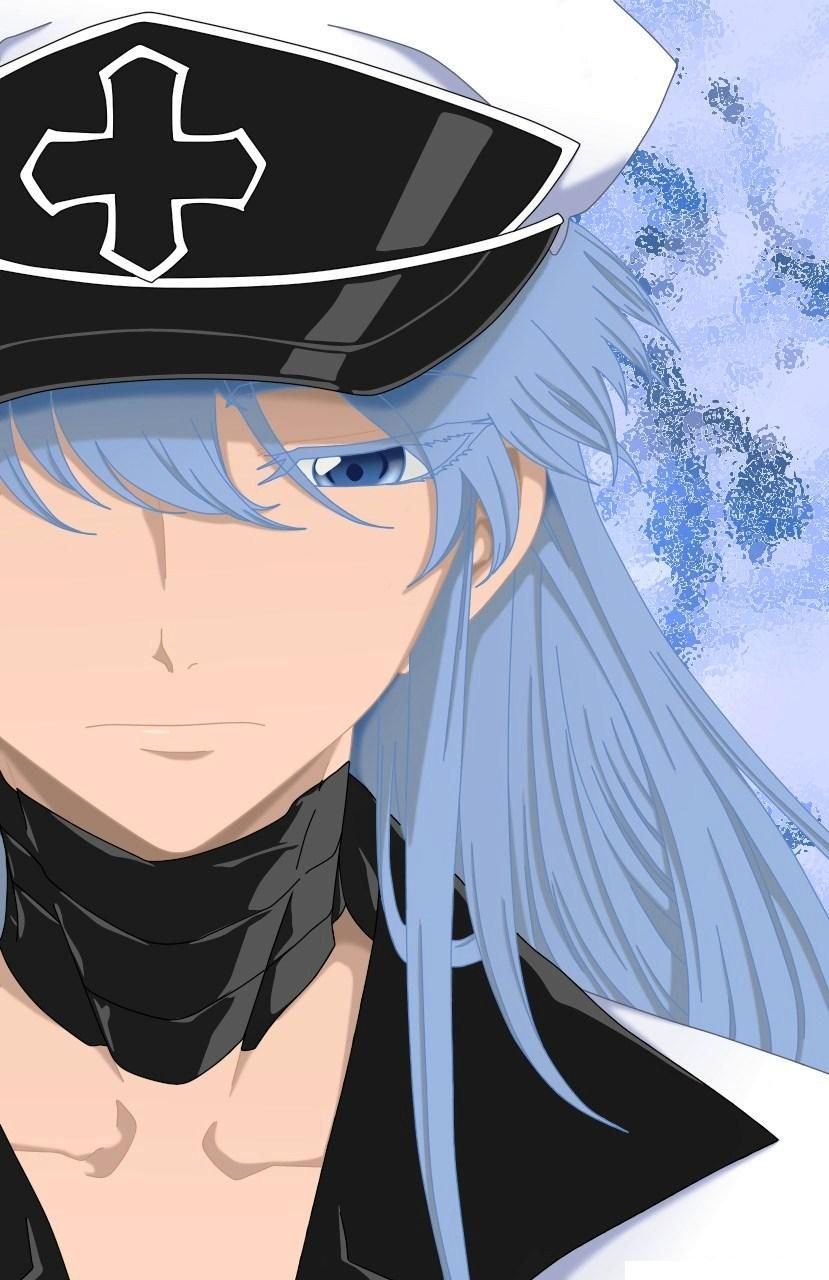 1girl akame_ga_kill! blue_eyes blue_hair esdeath esdese hat ishira-san jpeg_artifacts long_hair md5_mismatch sad square_enix