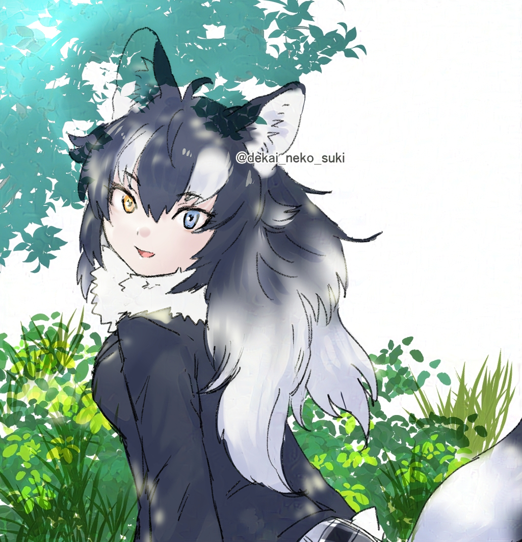 1girl animal_ears blue_eyes dekai_neko_suki foliage fur_collar grass grey_hair grey_jacket grey_skirt grey_wolf_(kemono_friends) hair_between_eyes heterochromia jacket kemono_friends long_hair long_sleeves looking_at_viewer multicolored_hair plaid plaid_skirt pleated_skirt sidelocks skirt solo tail white_fur white_hair wolf_ears wolf_girl wolf_tail yellow_eyes