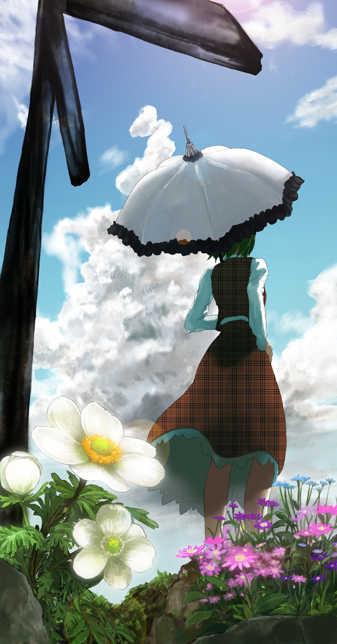 anemone_(flower) beato2528 blue_sky cloud cloudy_sky daisy day dress dress_shirt flower from_behind from_below green_hair hand_on_hip highres kazami_yuuka long_sleeves outdoors parasol plant rock shirt skirt skirt_set sky solo stone touhou umbrella unmoving_pattern vest white_shirt
