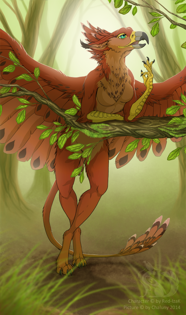 2014 anthro avian beak blue_eyes chaluny convenient_censorship digitigrade feathers female forest gryphon outside solo talons tree wings