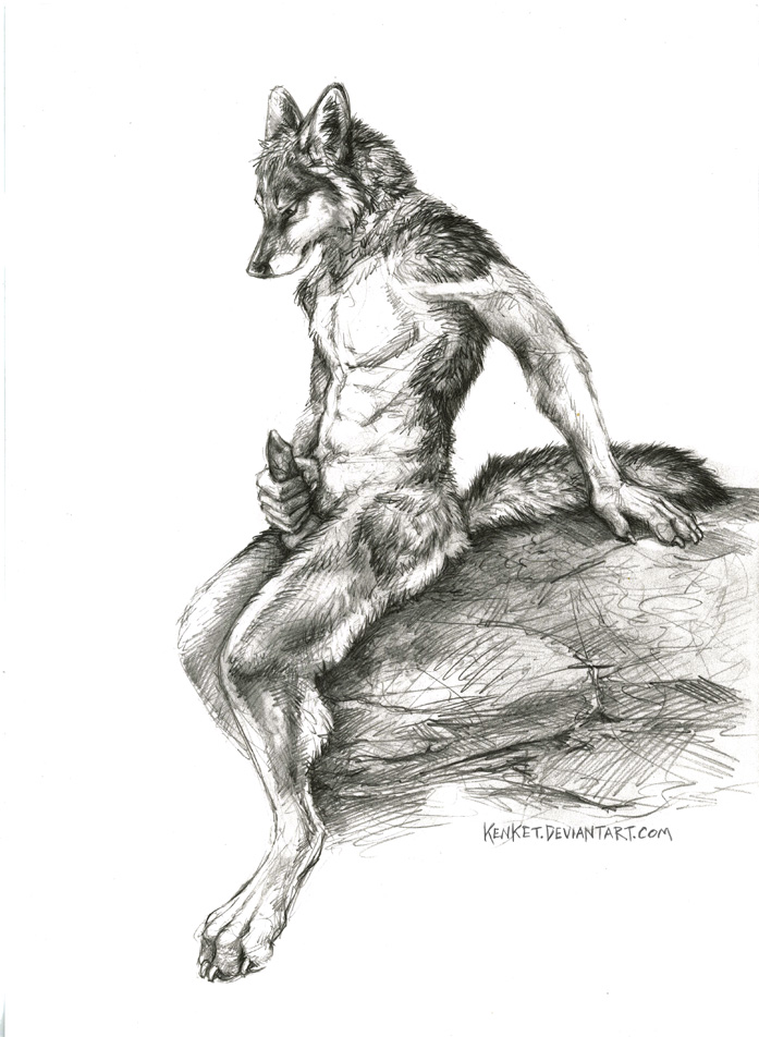 2015 anthro canine claws erection fur kenket male mammal masturbation nude penis solo wolf