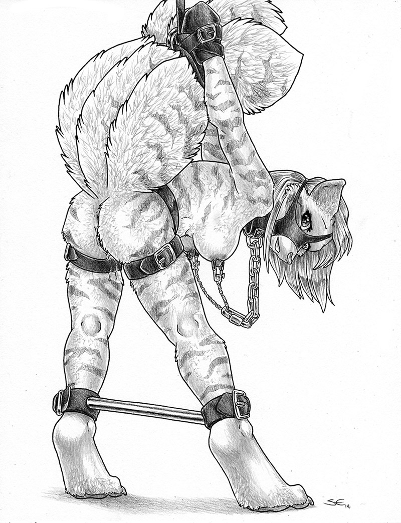 2014 anthro anus arms_behind_back bdsm bent_over bondage bound breasts canine chain collar exposed feline female fox hybrid mammal multiple_tails nipple_piercing nipples piercing pussy raised_tail sabretoothed_ermine side_boob sketch solo spreader_bar stripes tiger