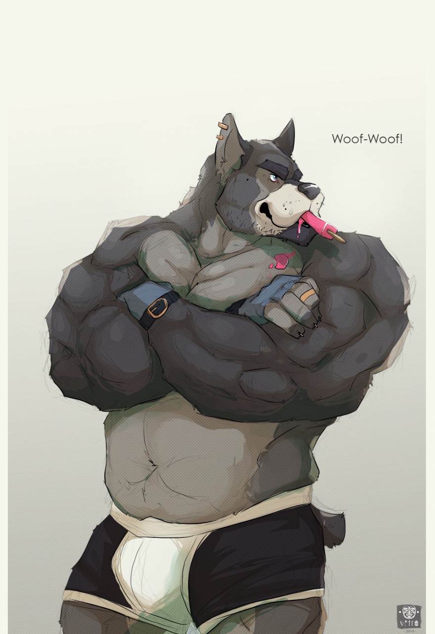 2014 belly biceps big_muscles bulge canine chubby clothed clothing crossed_arms dog ear_piercing eating fur grey_fur half-dressed male mammal masculine musclegut muscles pecs piercing plain_background popsicle pose ring solo text topless underwear vetrowolf white_background