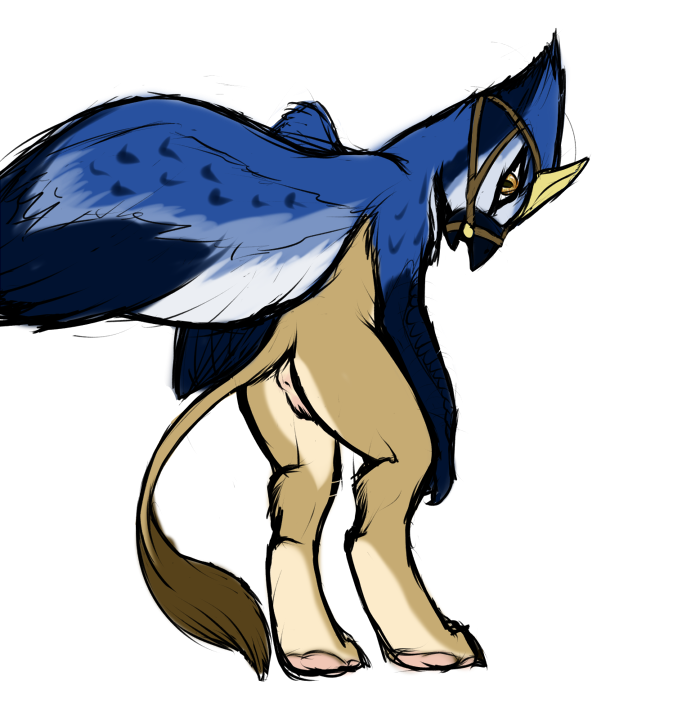 2013 anthro anus avian beak bird blue_jay bridle feline female gryphon ivory-raven lion mammal nude plain_background pussy sketch solo standing white_background wings