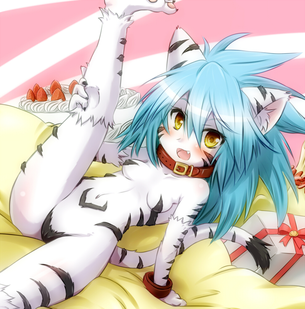 2012 anthro bed black_fur blue_hair blush breasts claws collar cub feline female fur fuurin_rei gift hair looking_at_viewer lying mammal momomo on_back open_mouth pawpads paws solo teeth tiger white_fur white_tiger yellow_eyes young