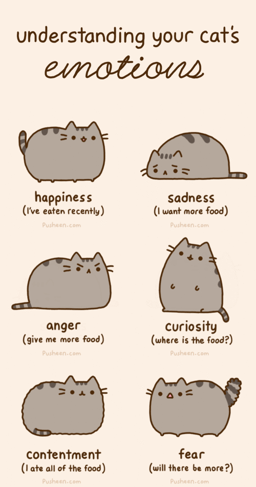 :3 ambiguous_gender angry animated bouncing cat cute edit english_text feline fur grey_fur happy mammal plain_background pusheen pusheen_corp sad simple_background solo text whiskers