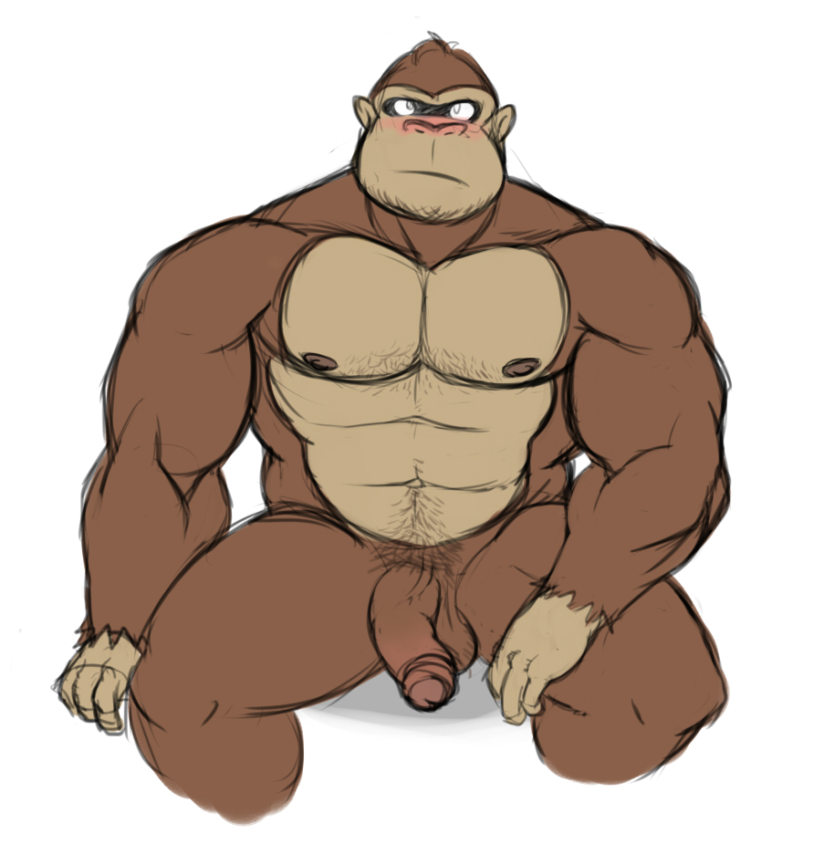 abs balls biceps big_muscles blush brown_fur brown_nipples donkey_kong fur gorilla humanoid_penis looking_at_viewer male mammal muscles nipples nude pecs penis plain_background pose primate sitting solo tan_fur toned uncut vein white_background wkd