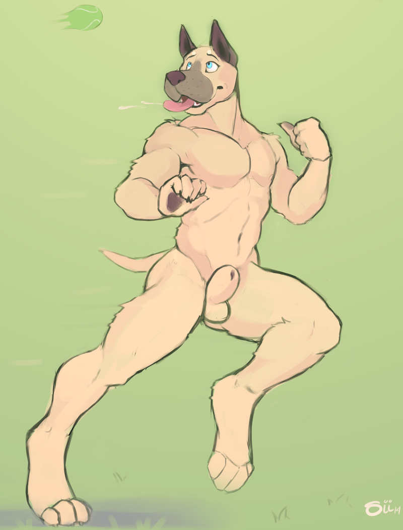 2014 5_fingers abs balls biceps blue_eyes canine claws digitigrade dog fully_sheathed fur great_dane ill_dingo male mammal muscles nude pecs playing running saliva sheath silly_face simple_background solo tennis_ball toned tongue tongue_out