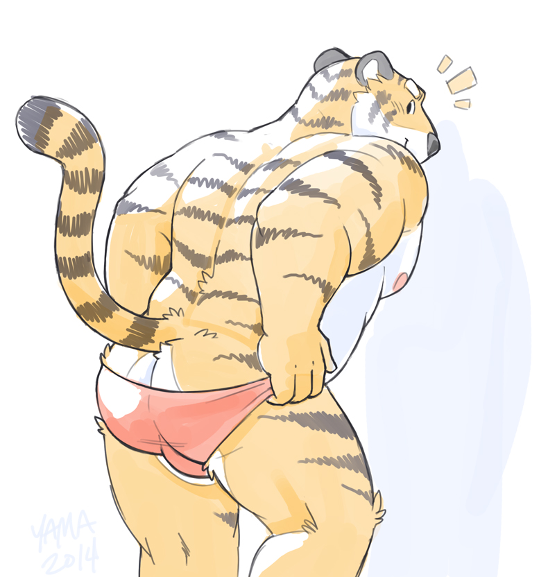 back biceps big_muscles bulge butt clothing feline looking_back male mammal muscles nipples nude rear_view solo speedo swimsuit tiger triceps undressing wolfyama yama_(artist)