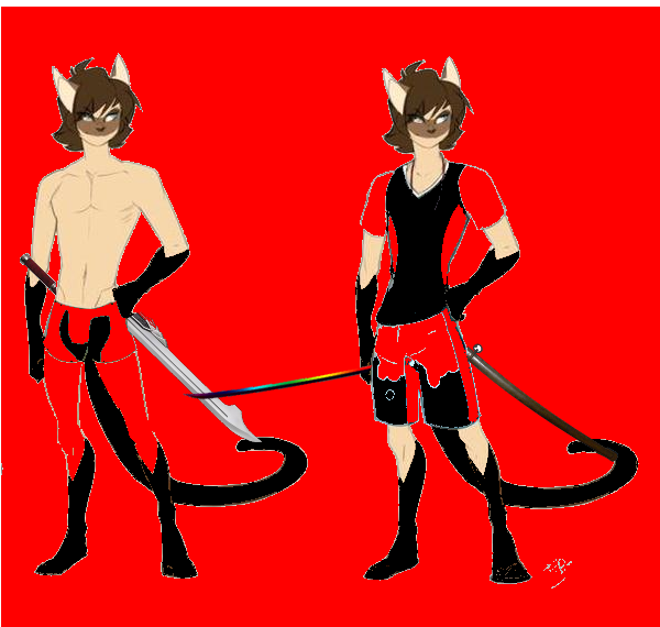 arno cat celio feline fighter mammal peritian photoshop siamese sibling twins warrior weapon