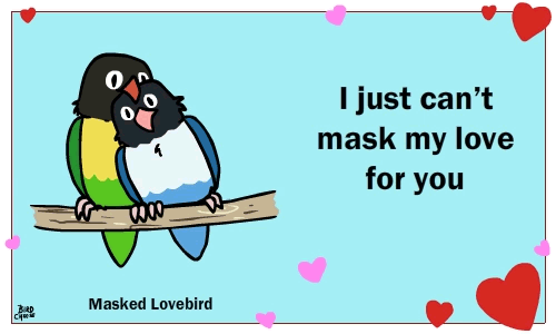 &lt;3 avian bird birdcheese black_eyes duo english_text holidays humor looking_at_viewer lovebird text valentine's_day
