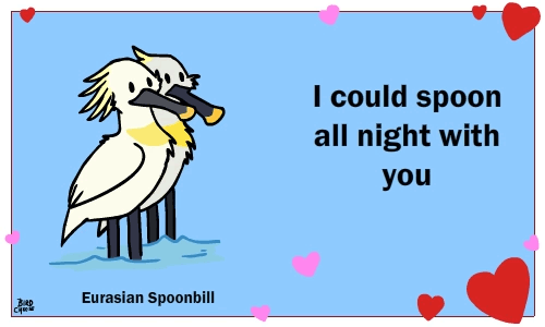 &lt;3 animated avian bird birdcheese cute english_text holidays spoonbill text valentine's_day