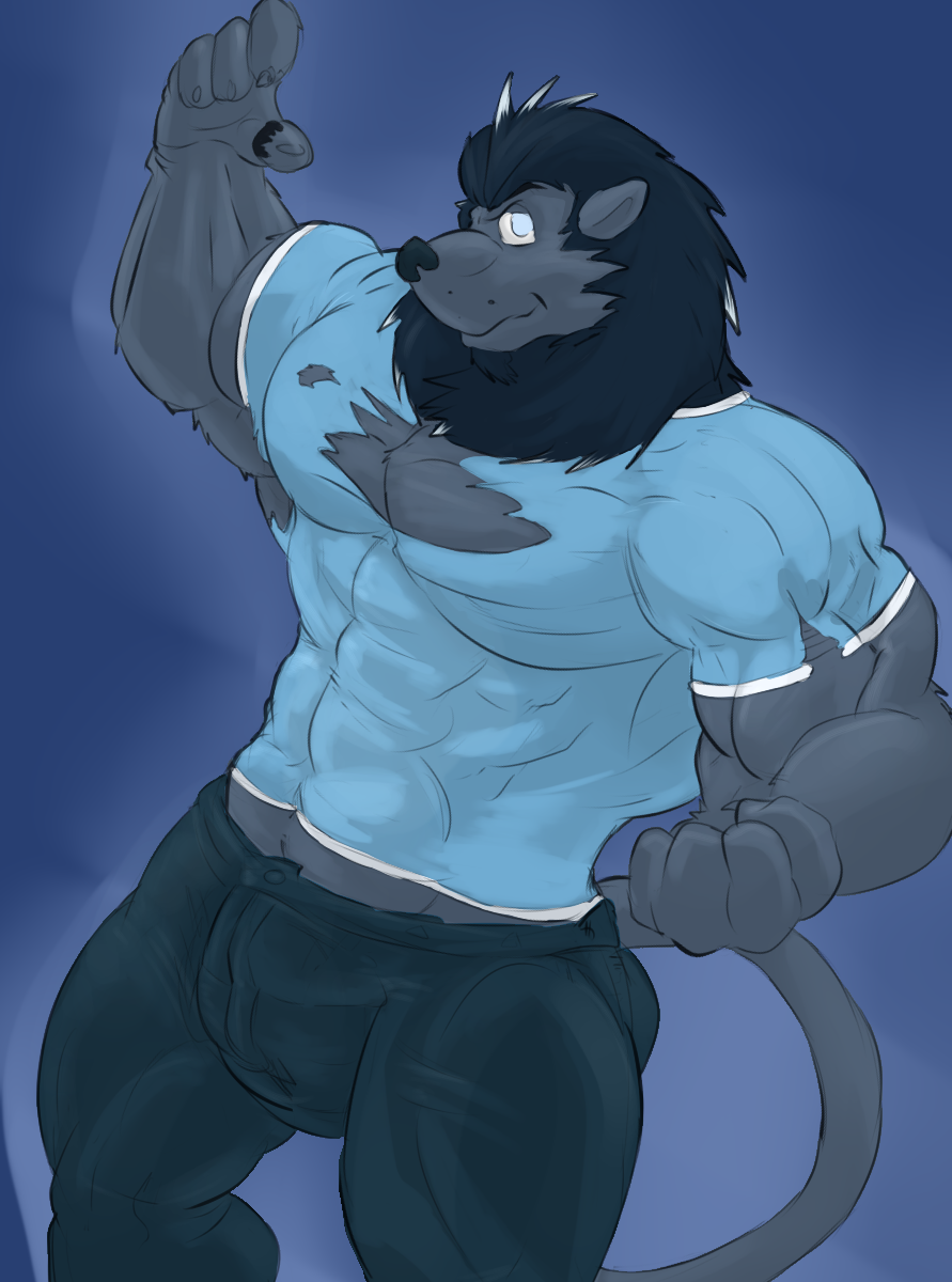 anthro big_cat big_muscles bulge clothing erection feline fur korzair lion looking_at_viewer mammal muscles pecs penis ripping smile solo torn_clothing