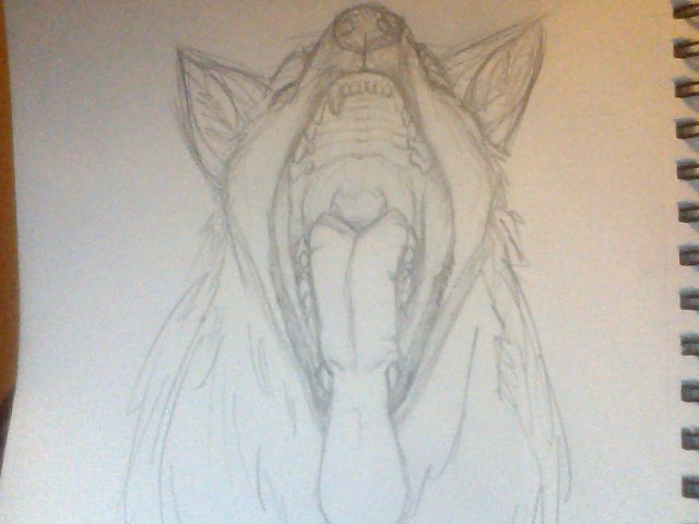 alkatraz canine first_person_view gullet macro mammal open_mouth sketch tala taur teeth tongue traditional_media_(artwork) wolf wolftaur