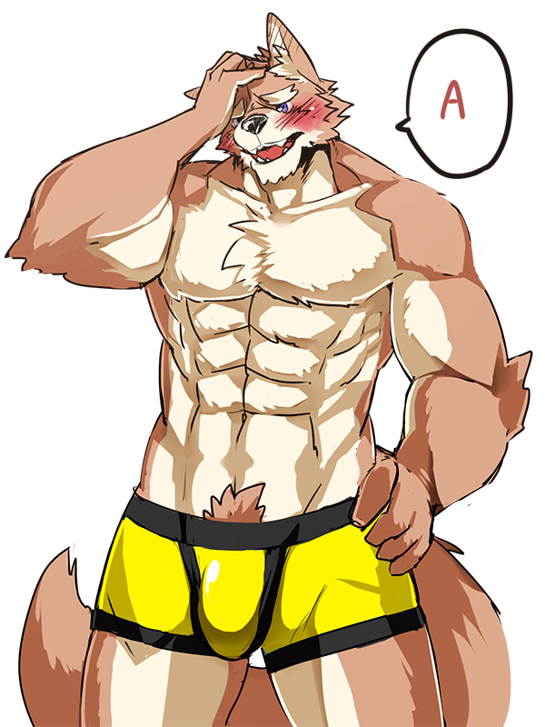 abs biceps canine kenn male mammal muscles pecs solo teeth