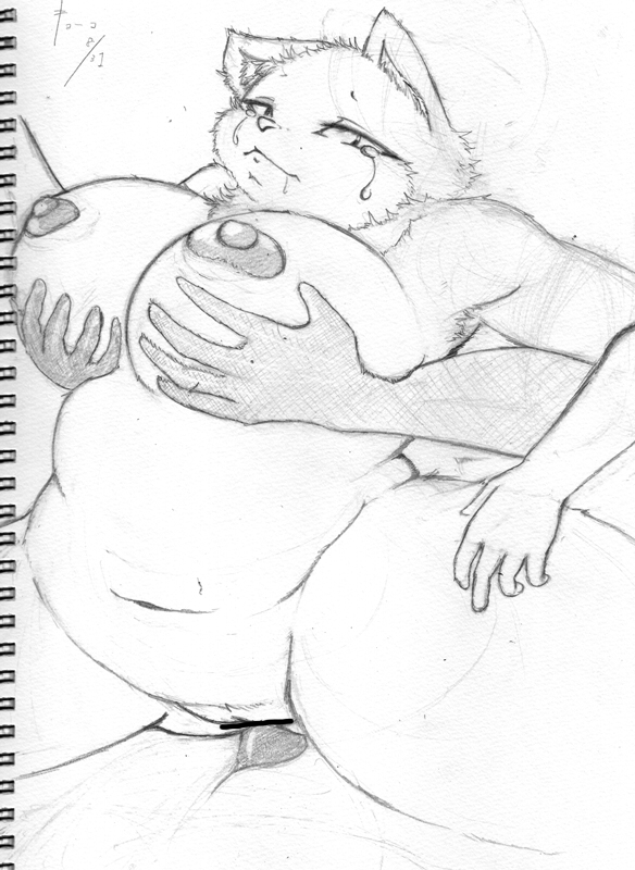 5_fingers anthro big_breasts breast_grab breasts cat censored chubby cocolog crying erection faceless_male feline female grope kyoko_(cocolog) looking_at_viewer male male/female mammal monochrome navel nipples penetration penis plain_background sex sketch solo_focus spread_legs spreading tears thick_thighs vaginal vaginal_penetration white_background