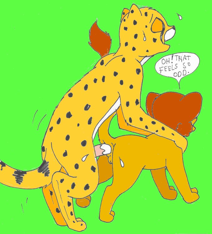 anal anus cheetah feline female lion male male/female mammal mike_sherman penis pussy sex