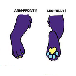 anthro feet foot_focus hyena low_res male mammal model_sheet paws solo stero steroklbck text