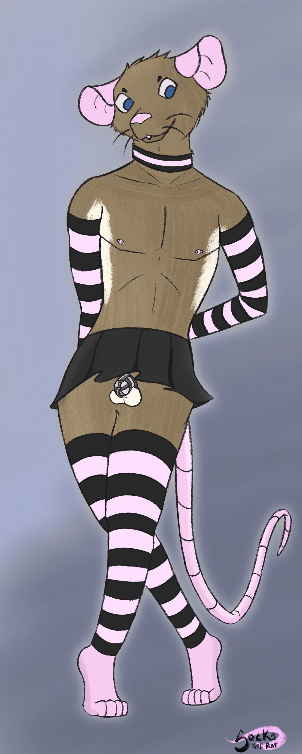 5_toes absurd_res anthro armwear balls blue_eyes bottomwear brown_body brown_fur buckteeth chastity_cage chastity_device clothed clothing collar colored_sketch crossdressing digital_drawing_(artwork) digital_media_(artwork) erection erection_under_skirt feet femboy fur genitals glance glancing_back gradient_background hands_behind_back hi_res humanoid_feet humanoid_genitalia humanoid_penis looking_at_viewer male mammal markings midsection murid murine navel nipples partial_nudity partially_clothed pecs penis pink_ears pink_feet pink_nipples pink_nose pink_penis pink_tail pinup plantigrade pose purple_background rat rodent sarahratte simple_background sketch skirt small_penis smile sockings socks_the_rat_(character) solo standing standing_on_toes stripes tail teeth toes whiskers white_balls white_body white_fur white_markings