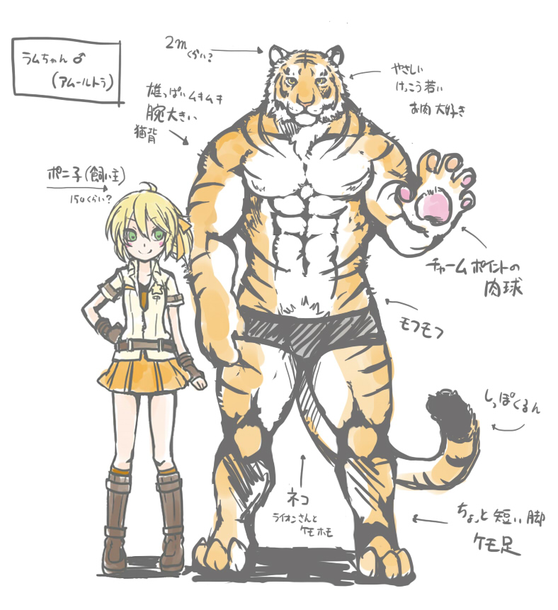 abs anthro biceps big_muscles blonde_hair chest_tuft clothing duo feline female fur giraffe_(artist) green_eyes hair human japanese_text male mammal muscles pecs text tiger translation_request tuft underwear