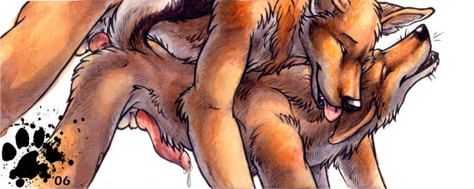 2006 anal anal_penetration anatomically_correct anthro blotch canine fox gar male male/male mammal mixed_media old pen_(artwork) penetration penis traditional_media_(artwork) vintage watercolor_(artwork)