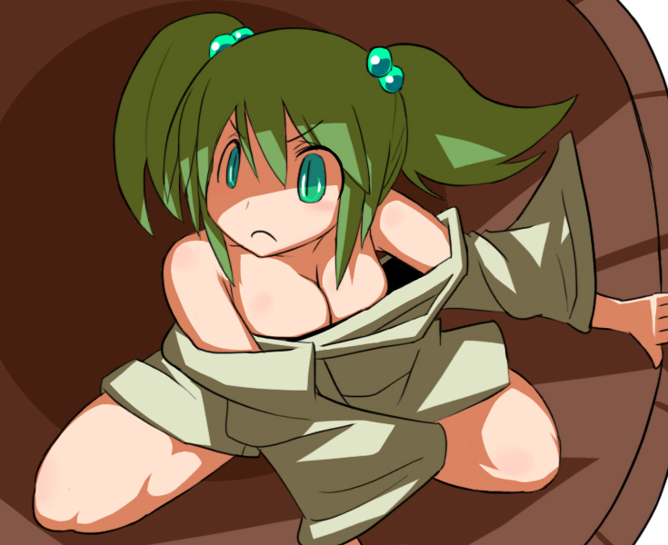 breasts bucket cleavage green_eyes green_hair hakika in_bucket in_container kisume large_breasts older solo touhou twintails