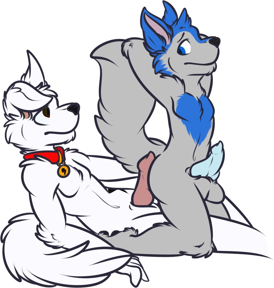 2015 anal anatomically_correct animal_genitalia anthro balls blue_fur blue_hair blue_penis bolt bolt_(film) bolt_character butt canine canine_penis character_from_animated_feature_film collar disney dog ears_back erection fluffy fur german_sheperd german_shepherd grey_fur hair invalid_tag knot male male/male mammal nude on_top paws penis plain_background red_penis reverse_cowgirl_position sex sheath white_fur white_german_shepherd wolf