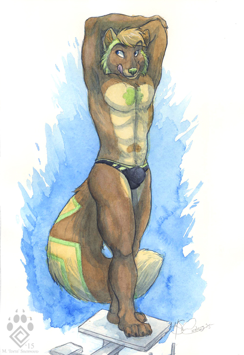 bulge clothing idess male mammal muscles pecs pinup pose raccoon solo speedo swimmer swimsuit traditional_media_(artwork) watercolor_(artwork) zigzagg