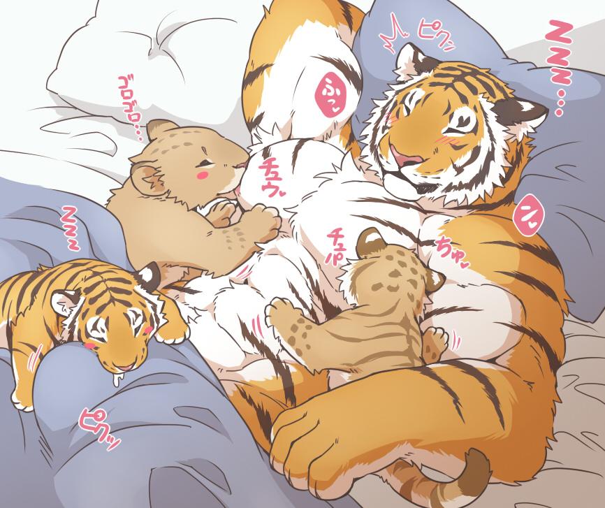 abs anthro bed biceps chest_tuft feline fur giraffe_(artist) male mammal muscles nipples pecs pillow tiger tuft