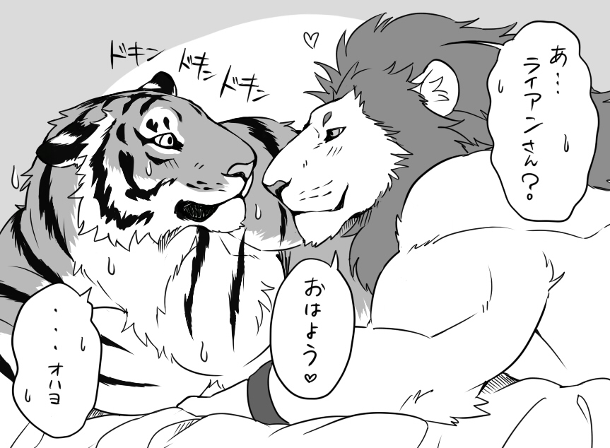 bed biceps chest_tuft feline fur giraffe_(artist) japanese_text lion male mammal muscles pecs text tiger tuft