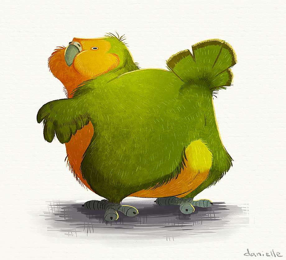 avian bird circutron kakapo overweight solo