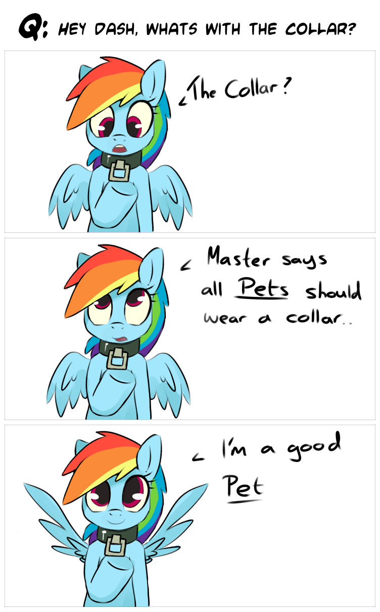 collar english_text equine female feral friendship_is_magic grumblepluck horse mammal my_little_pony pegasus pet pony rainbow_dash_(mlp) simple_background solo text white_background wings
