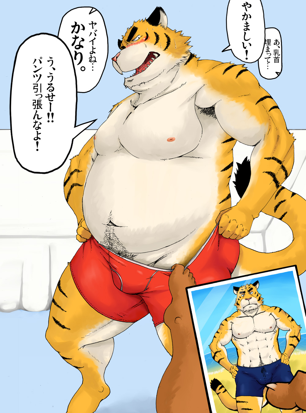 abs armpit_hair beach belly blush body_hair bulge clothing colored fangs feline happy_trail iwano japanese_text male male/male mammal muscles open_mouth overweight pants_pull pantsing seaside text tiger translation_request underwear