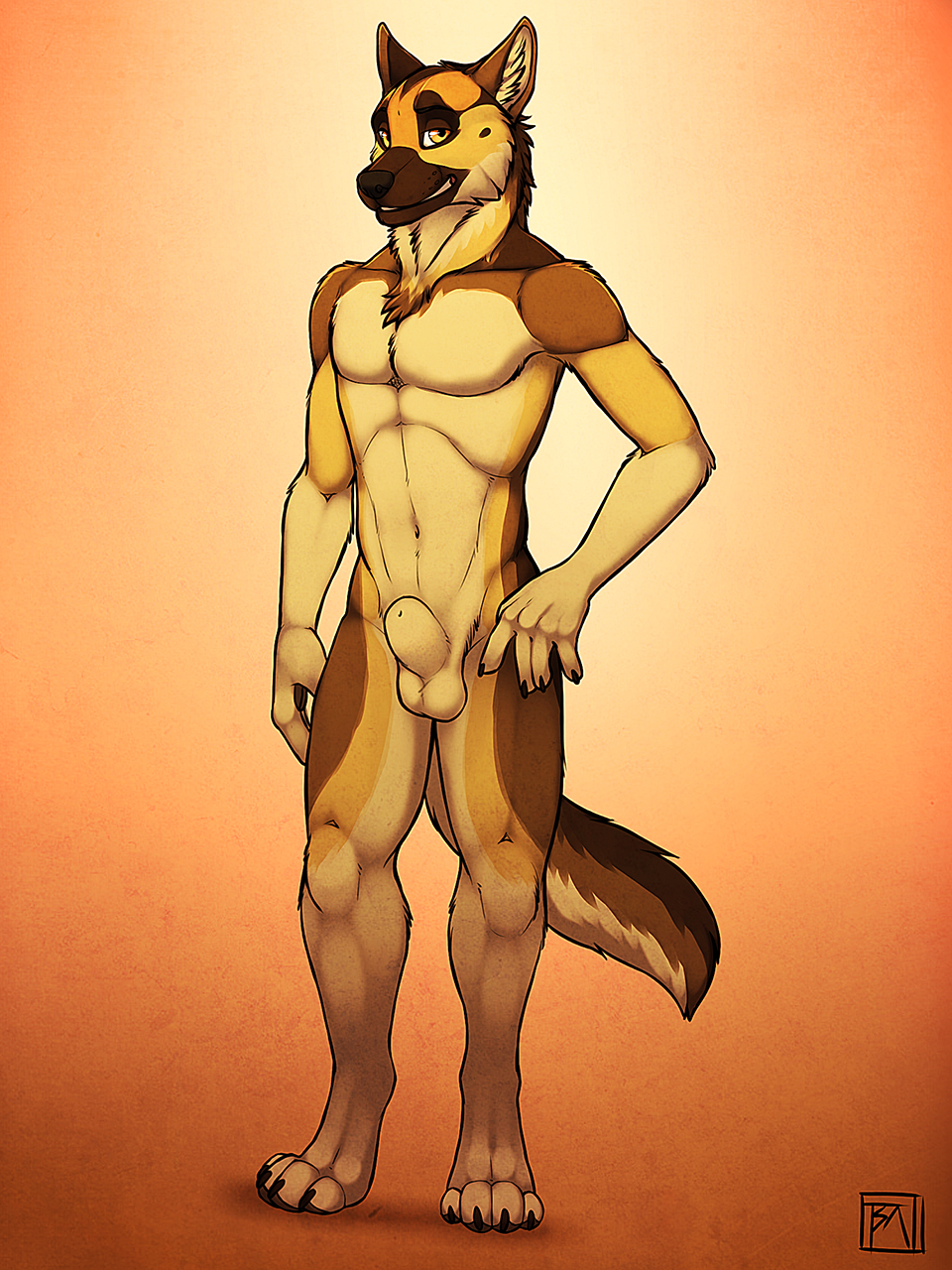 anthro balls barefoot canine claws digitigrade dog fully_sheathed fur german_shepherd half-closed_eyes looking_at_viewer male mammal muscles navel nude orange_background pawpads paws pecs sheath simple_background smile solo spudz standing teeth toe_claws tsaiwolf