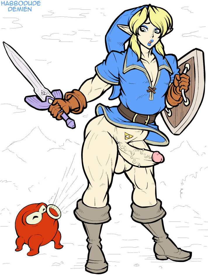 2015 assisted_nudity balls bottomless clothed clothing demien erection girly habbodude half-dressed holding_weapon hylian link male melee_weapon nintendo not_furry octarock penis shield sword the_legend_of_zelda video_games weapon