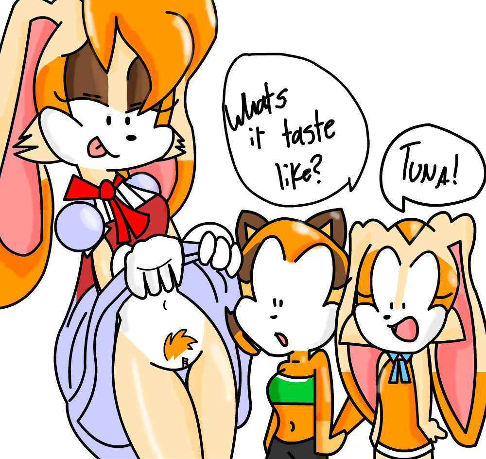 clothing cream_the_rabbit dress female gloves humor marine_the_raccoon perverted_bunny pussy sonic_(series) vanilla_the_rabbit