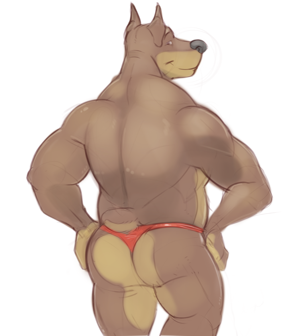 butt canine clothing colored doberman dog horrorbuns looking_at_viewer male mammal simple_background solo thong white_background