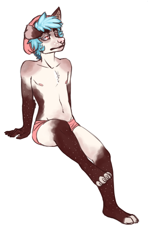 2015 alpha_channel anthro beret blue_hair boxer_briefs canine canned_(artist) clothed clothing dog fur hair half-dressed hat male mammal navel nipples pink_eyes pink_nose pinup pose sitting solo tan_fur topless underwear white_fur