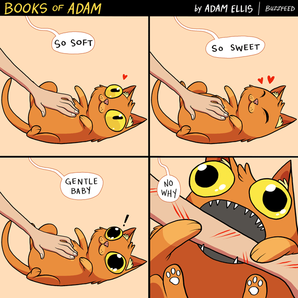 &lt;3 2015 adam_ellis animated belly_rub bite blood cat comic cute dialogue disembodied_hand duo english_text eyes_closed feline feral fur happy human humor life lying mammal on_back orange_fur petting scratch_marks sharp_teeth teeth text the_truth wide_eyed yellow_sclera