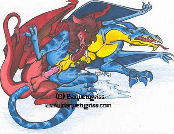 anal anus balls blaquetygriss blue_body dragon duo erection fellatio forked_tongue male male/male mane open_mouth oral penetration penis red_body scalie sex tail_sex tongue tongue_out watermark western_dragon