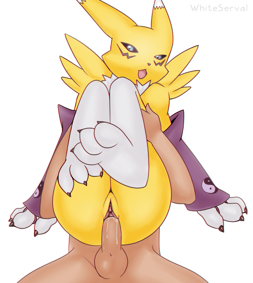 anime arm_warmers camera canine claws digimon facing femal female fox human invalid_color invalid_tag mammal on paws renamon riding sex squeezing together top whiteserval