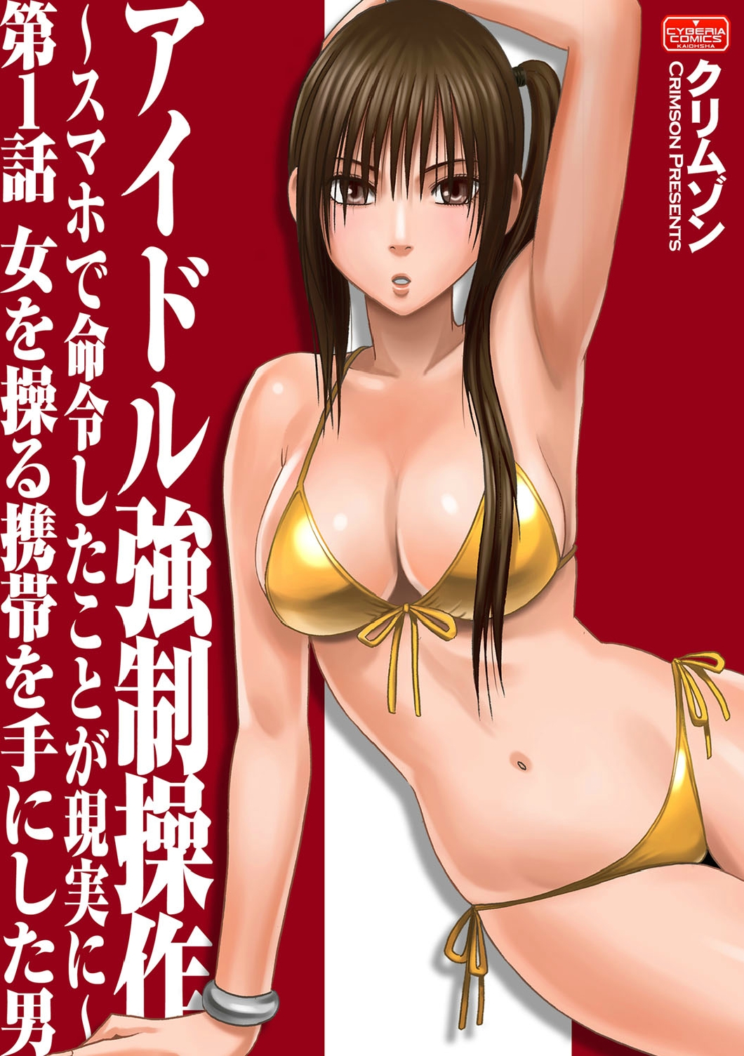 bikini bracelet breasts brown_eyes brown_hair copyright_request cover cover_page crimson_comics highres jewelry large_breasts long_hair navel ponytail side_ponytail solo swimsuit translation_request