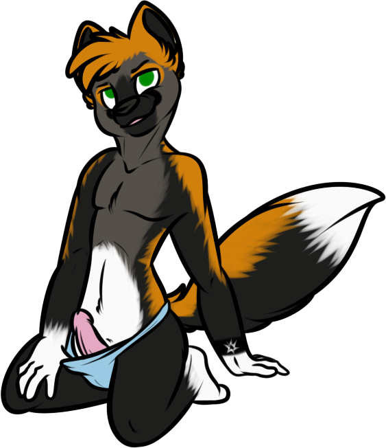 canine clothing colesense fox invalid_tag lingerie male mammal penis pinup pose solo teasing underwear uselesslizard